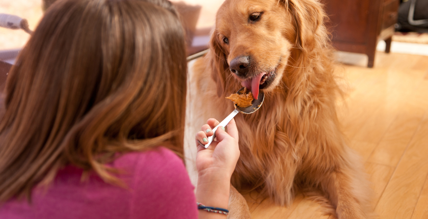 Busy Butter for Dogs