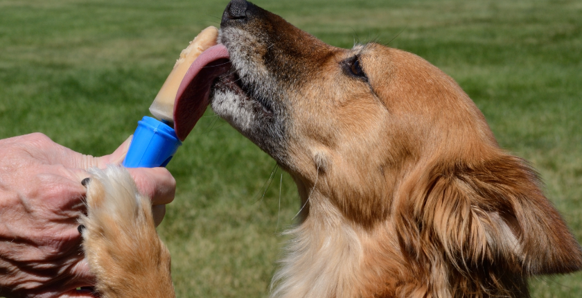 Busy Butter for Dogs