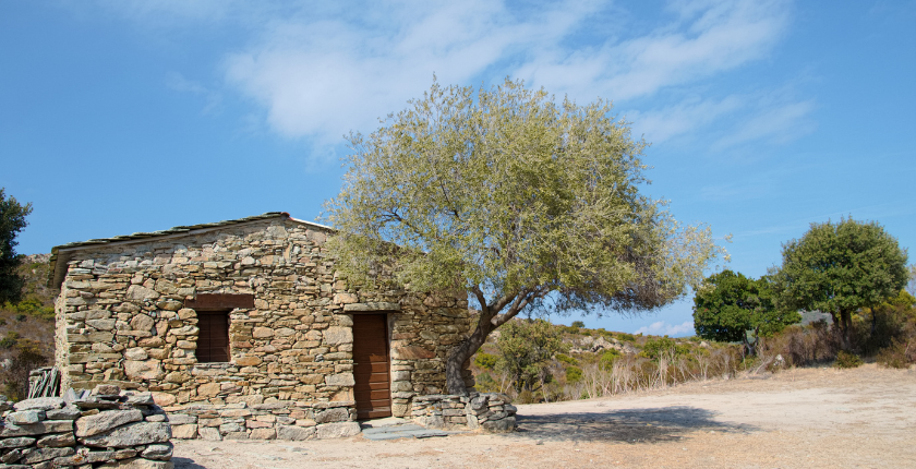 Owner Financed Land with Cabin